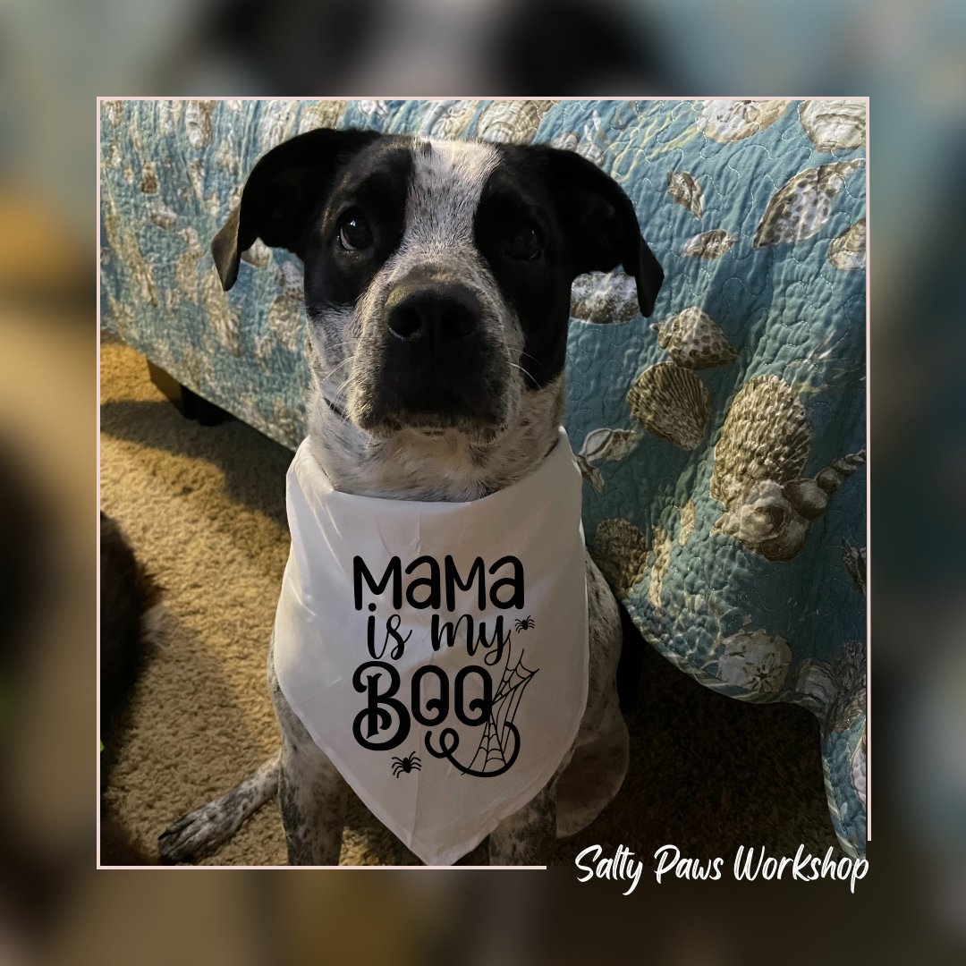 Mama is my Boo - Pet Bandana