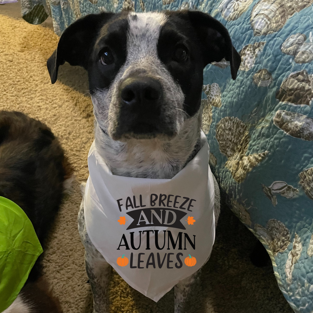 Autumn Leaves - Bandana