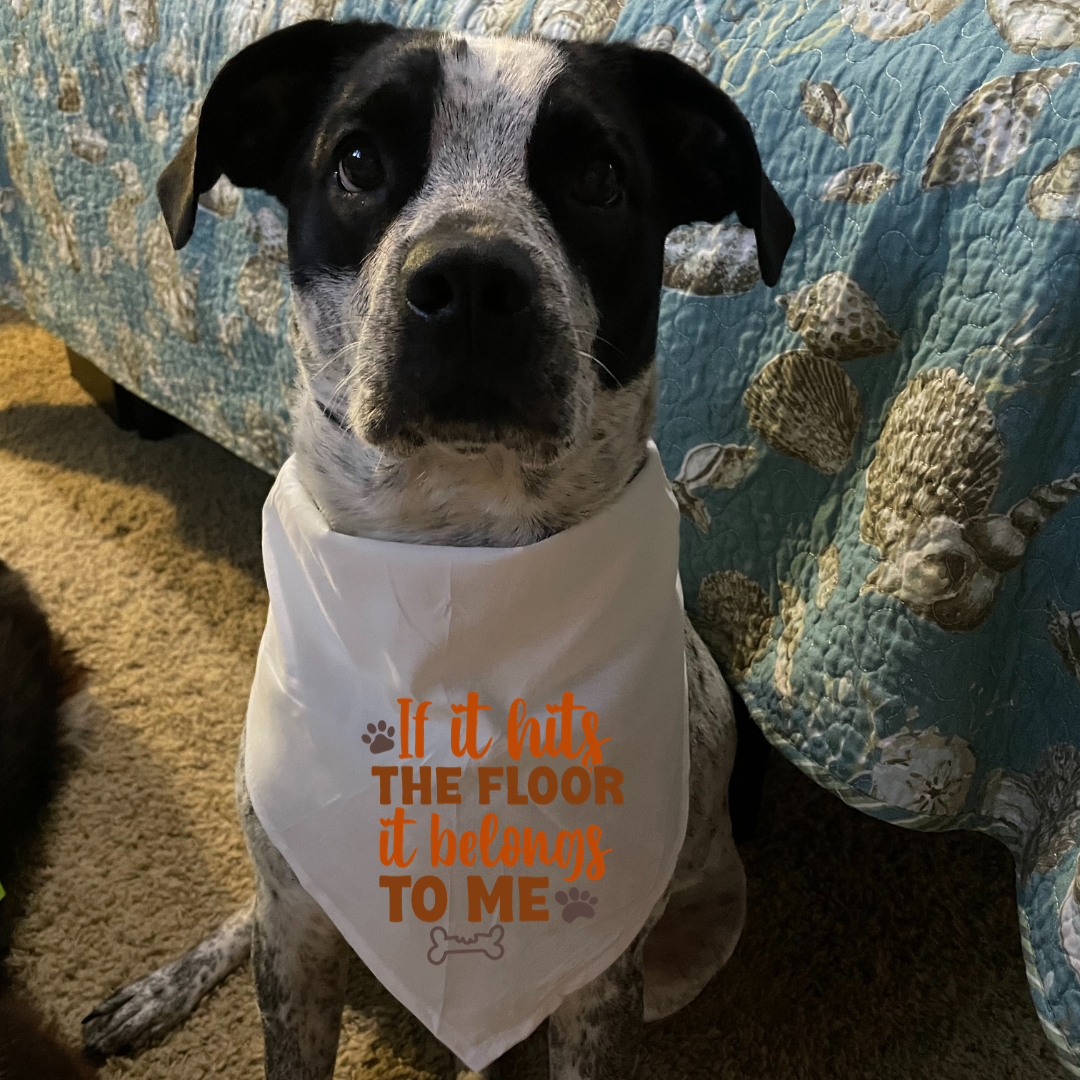 If it Hits the Floor - Dog Bandana