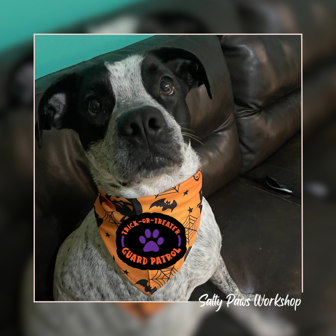 Trick or Treater Guard Patrol - Halloween Bandana