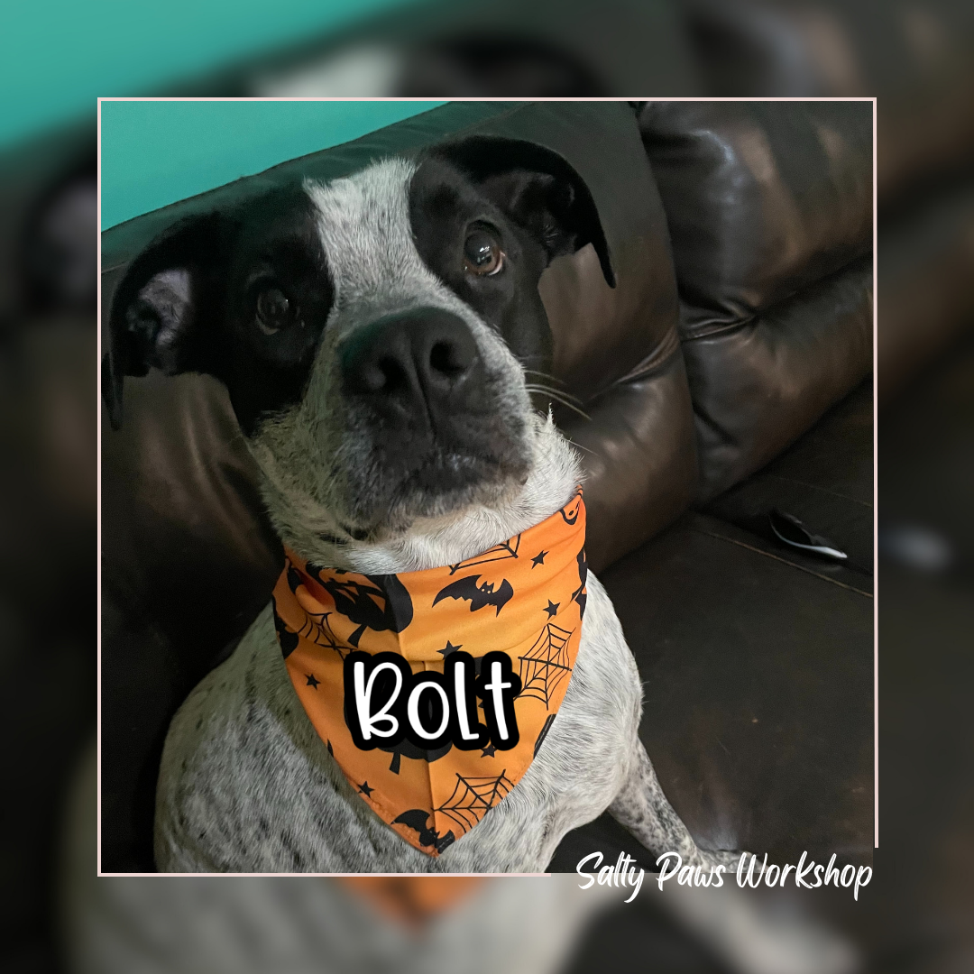 Halloween Custom Pet Bandana