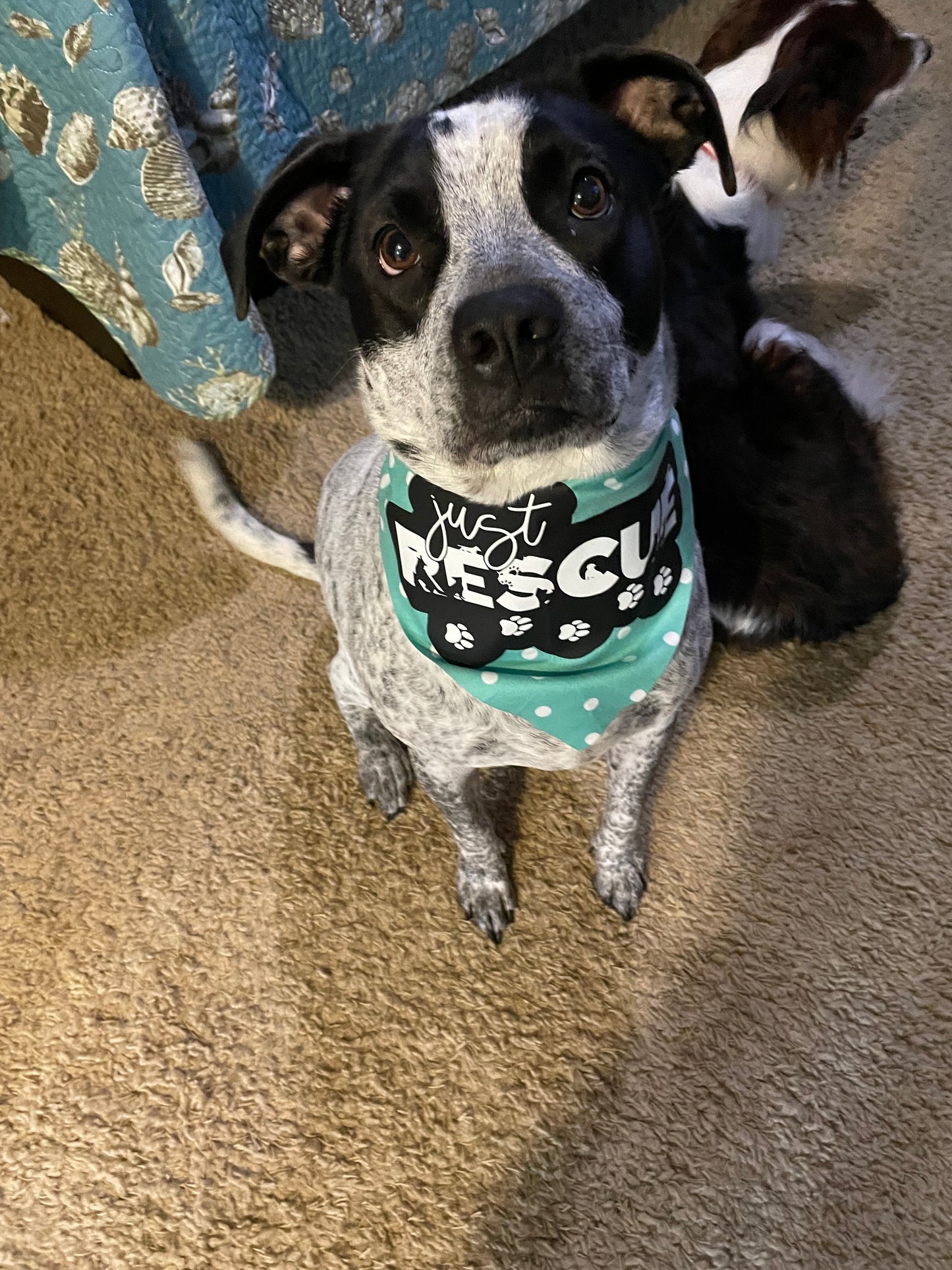 Just Rescue - Bandana