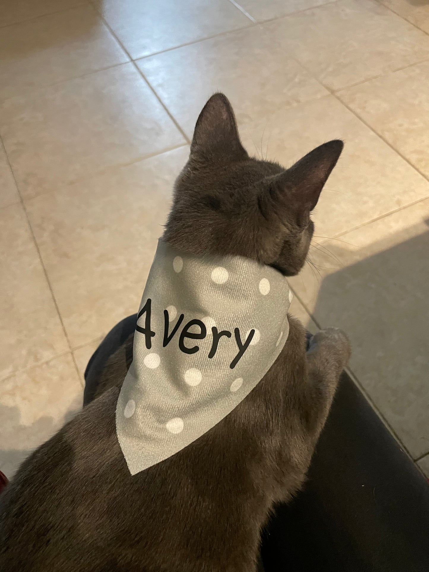Personalized Polka Dot Pet Name Bandana
