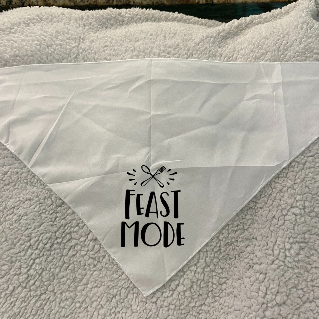 Feast Mode - Bandana