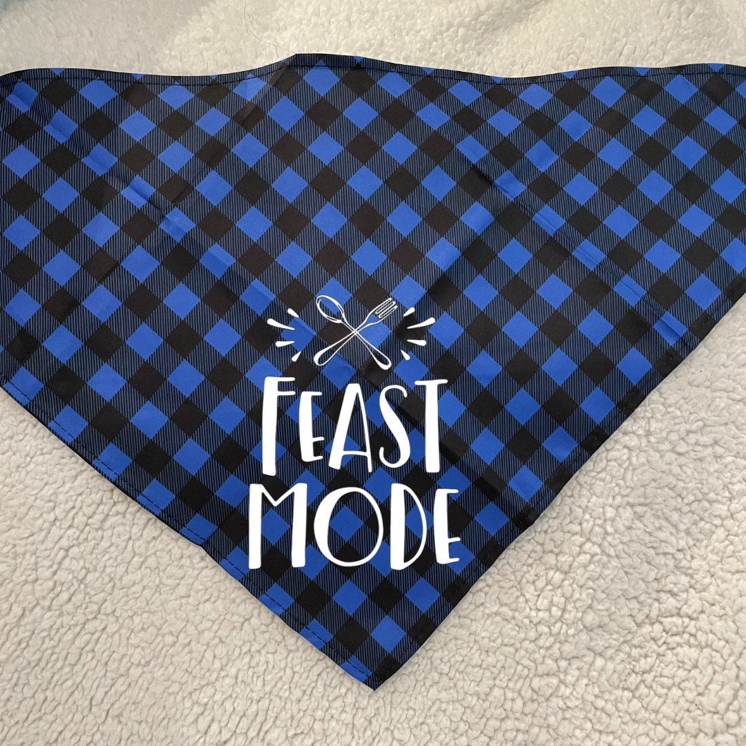 Feast Mode - Bandana