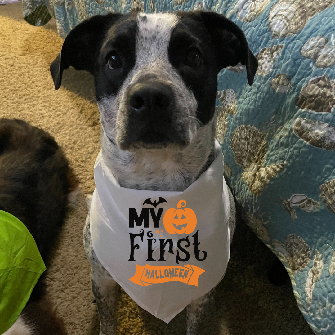 First Halloween - Bandana