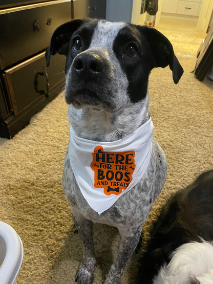 Halloween Bandanas