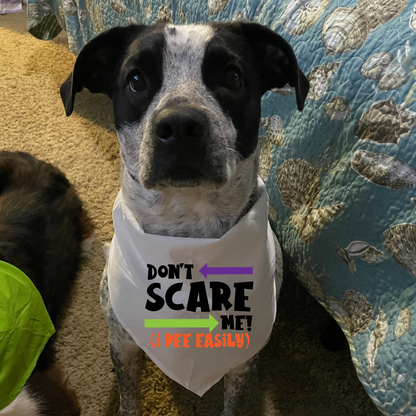 Don't Scare Me I Pee Easily - Bandana