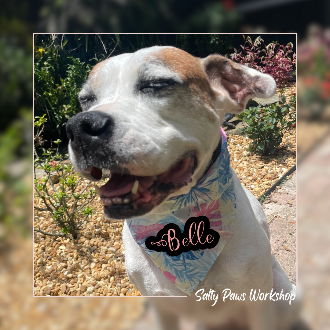 Personalized Pet Bandana