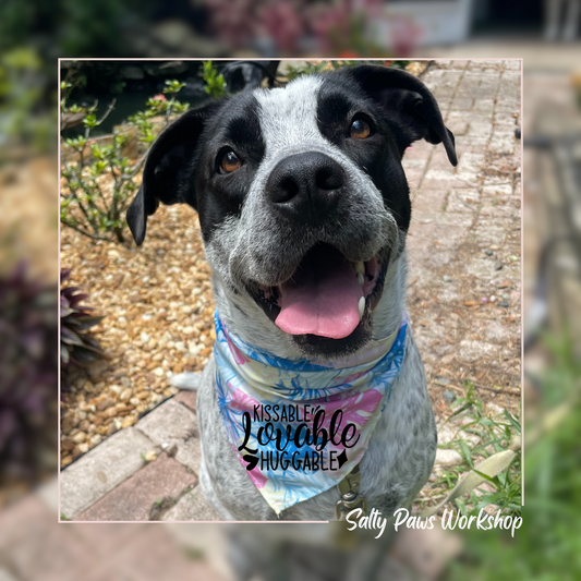 Kissable Lovable Huggable - Pet Bandana