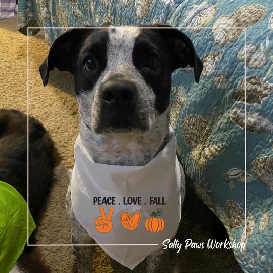 Peace Love Fall - Pet Bandana