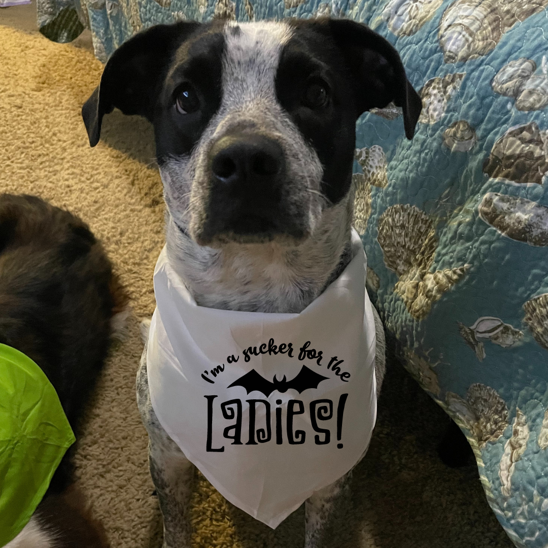Sucker for the Ladies
