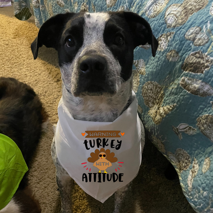 Turkey Attitude - Bandana